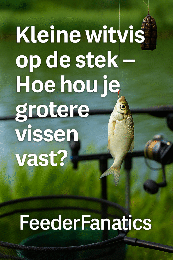 🐟 Kleine witvis op de stek – Hoe hou je grotere vissen vast?