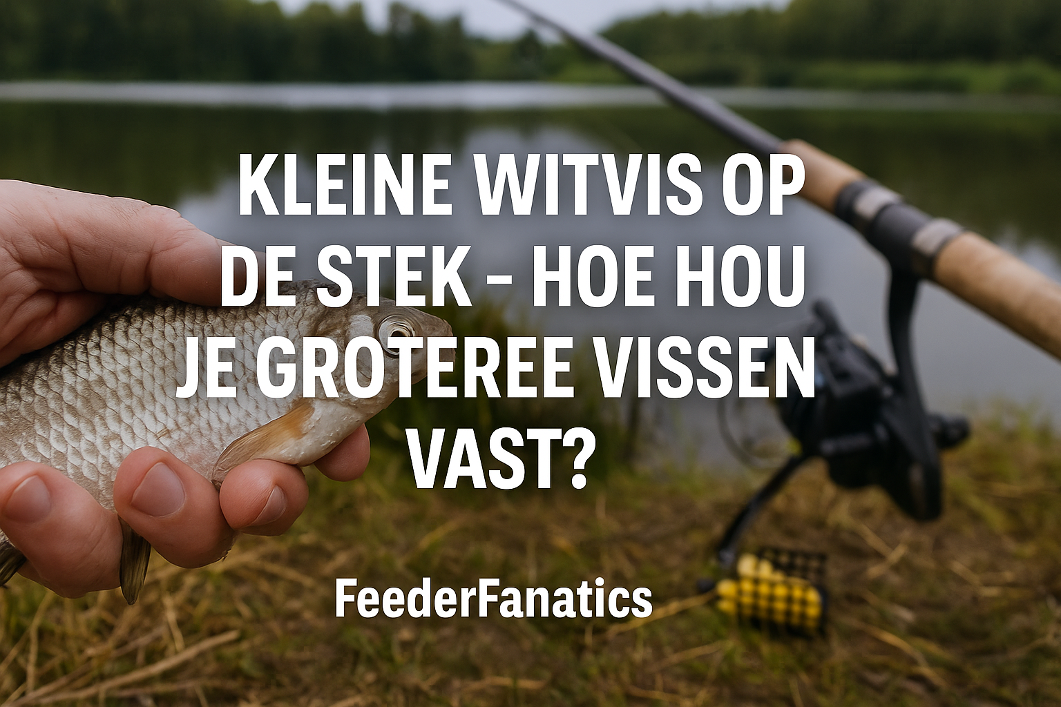 Kleine witvis op de stek-Hoe hou je grotere vissen vast2