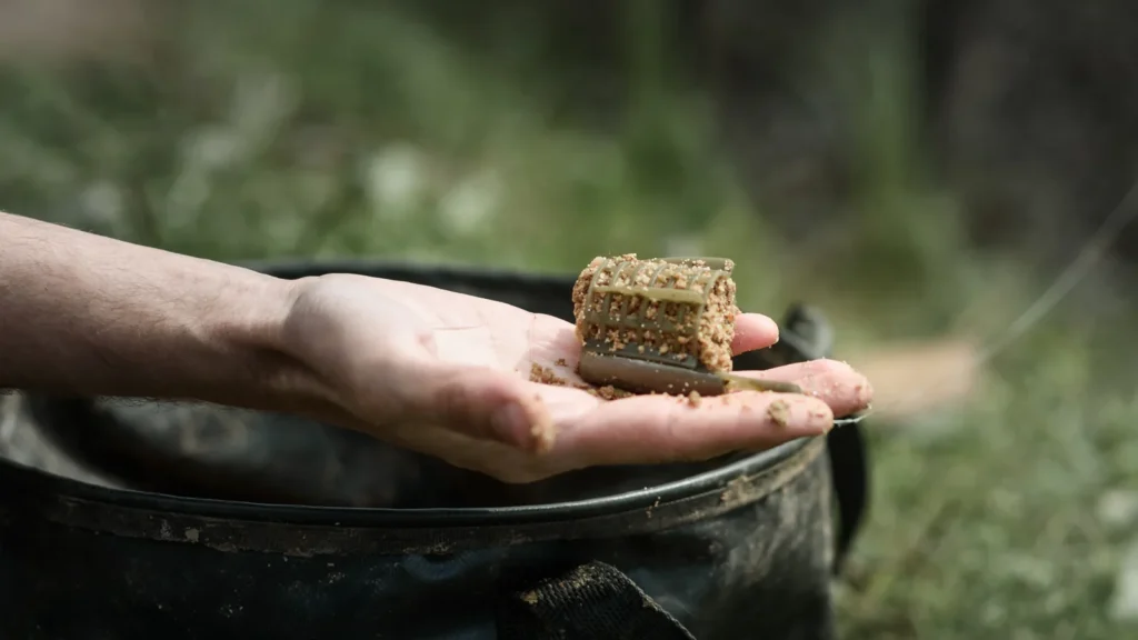 De Ultieme Beginnersgids Feeder Vissen-2026