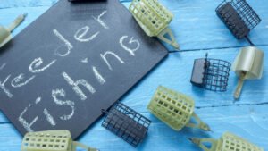 Feeder Beginners gids 2026